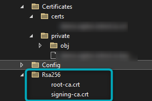 Auto Root and CA Certificates